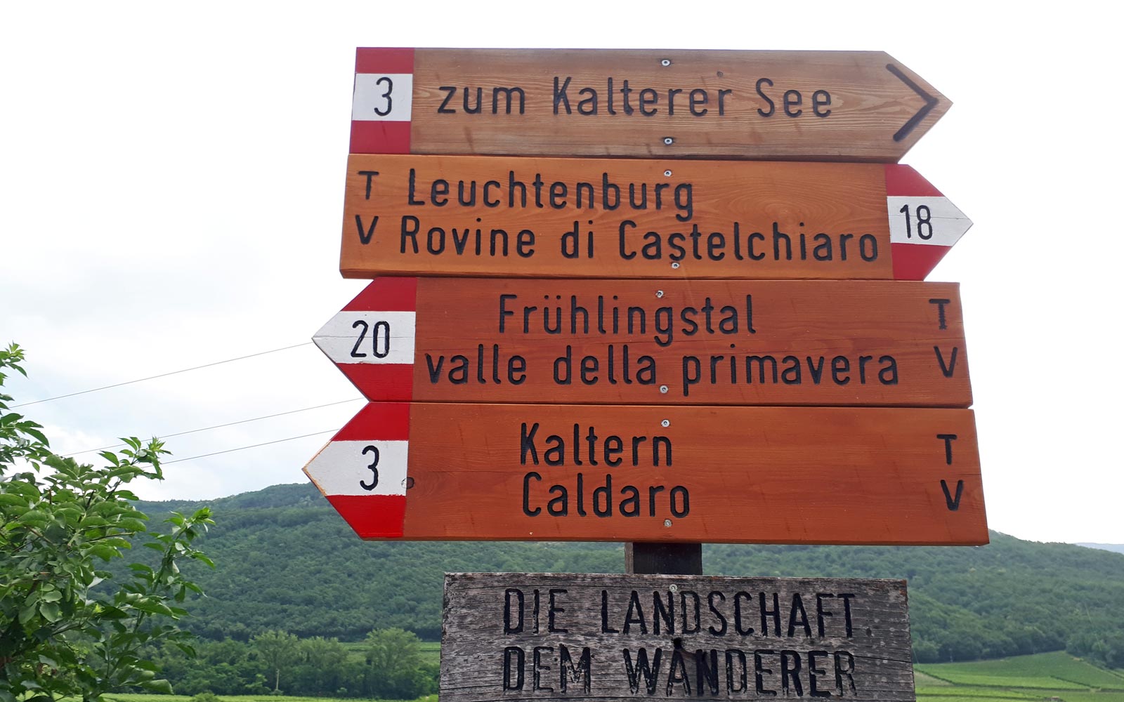 Tolomei rund um den Kalterer See